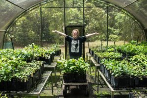 Daintree Rainforest Plant Nursery