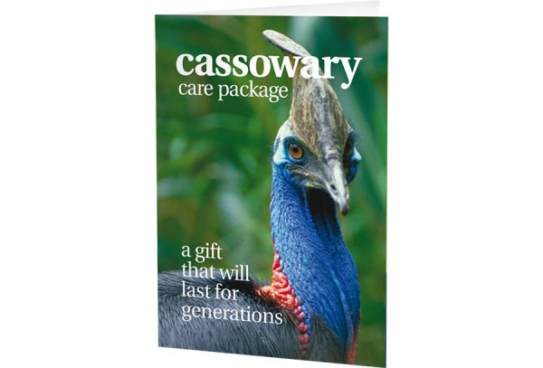 Cassowary Care Package - Printed