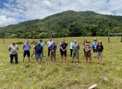 Time to Grow – a New Initiative for Increased Restoration in the Daintree