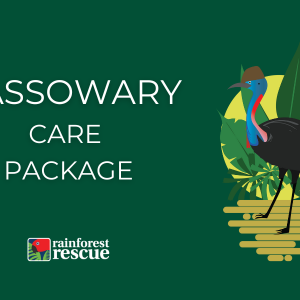 ecard cassowary care pack illustrated