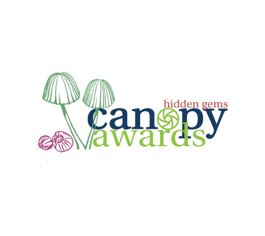 Rainforest Rescue Canopy Awards Categories Hidden Gems