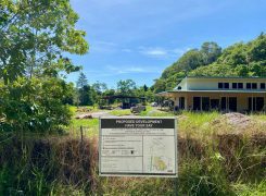 UPDATE New Native Nursery – March 2022
