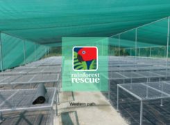 Faith in a Seed – A New Nursery Update