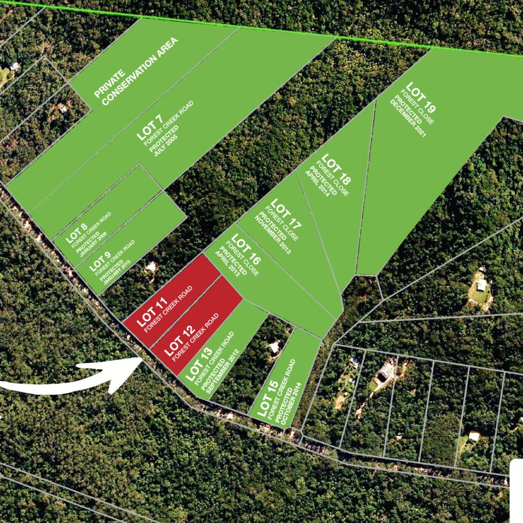 forest-creek-aerial-view-04.23_appeal forest-creek-aerial-view-04.23_appeal