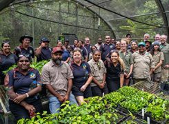 Media Release: ‘A gift for the rainforest’ – Daintree plant nursery at the heart of local partnership