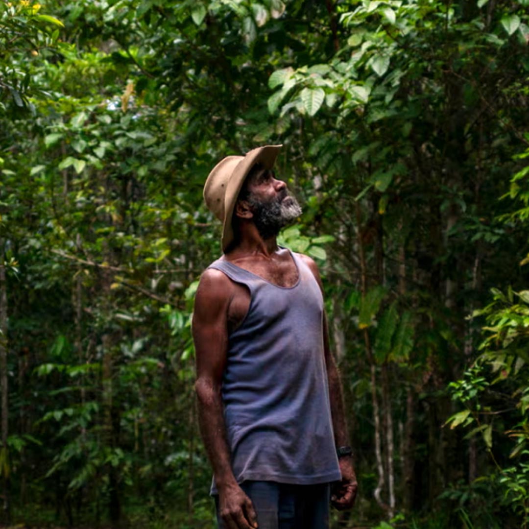 Guardians of the rainforest for over 25 years