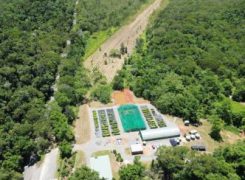 What does it take to Rescue a Rainforest?