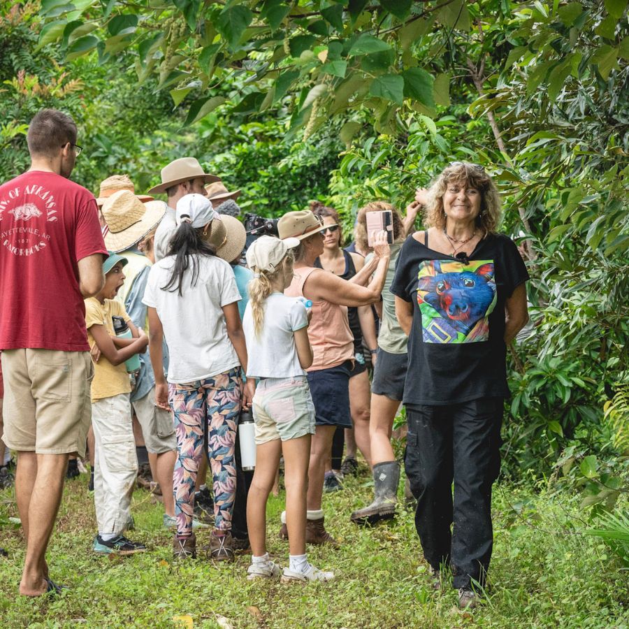 annie-schoenberger-nightwings-rainforest-rescue