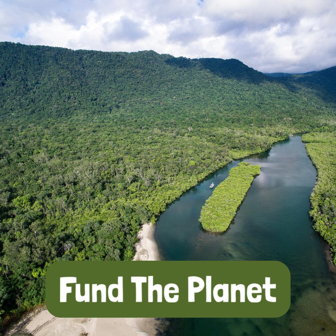 paradise-at-risk-the-urgent-need-to-protect-the-daintree-