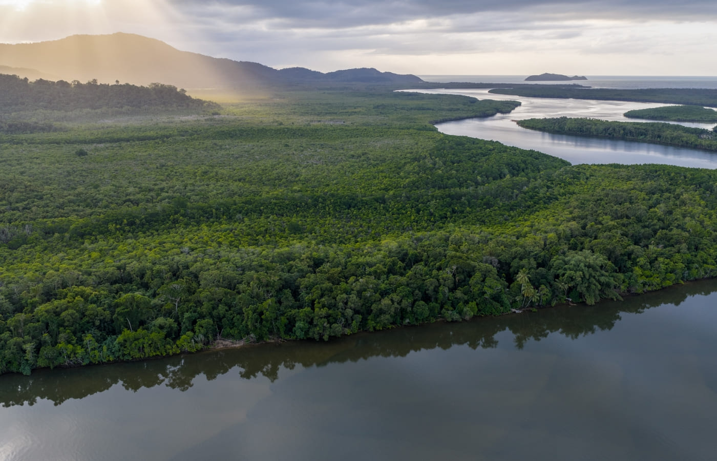 appeal-page_daintree-river-mangroves appeal-page_daintree-river-mangroves