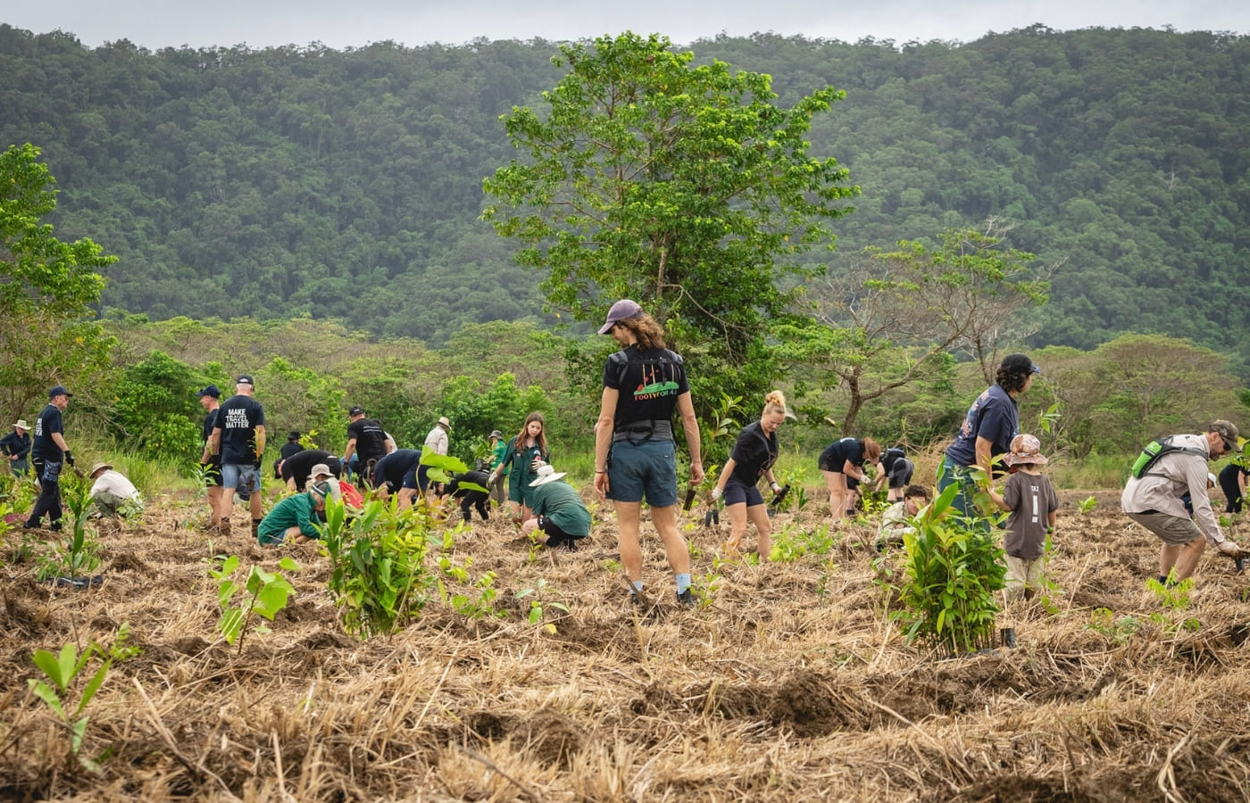 appeal-page_tree-planting appeal-page_tree-planting