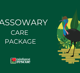 Cassowary Care Package eCard