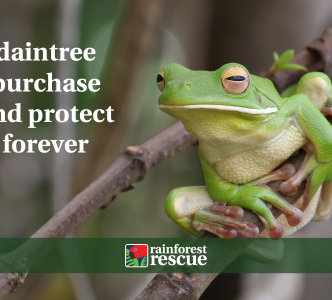 Daintree Purchase & Protect eCard