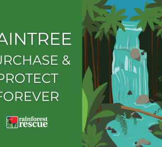 Daintree Purchase & Protect eCard