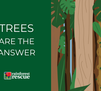 Trees Are The Answer eCard